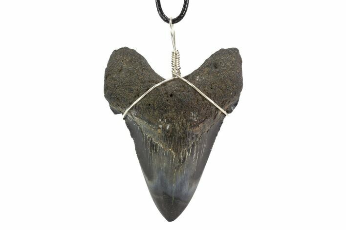 Fossil Megalodon Tooth Necklace #95228